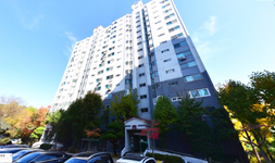 서울 강남구 아파트