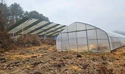 강원도 횡성군 단독주택, 토지