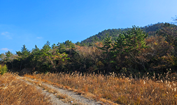전남 신안군 토지