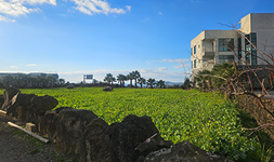 제주도 서귀포시 상가주택, 토지