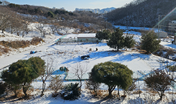 세종시 장군면 단독주택, 토지