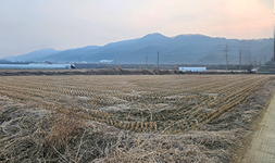 충북 진천군 토지