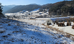 강원도 횡성군 토지