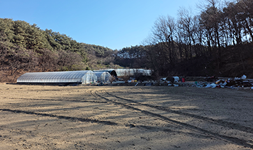 강원도 양양군 토지