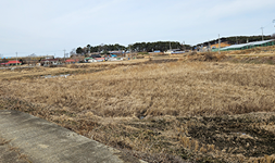 충남 홍성군 토지