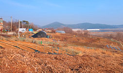 인천 옹진군 토지