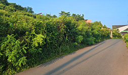 대구 동구 토지