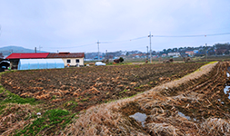 경기도 용인시 토지